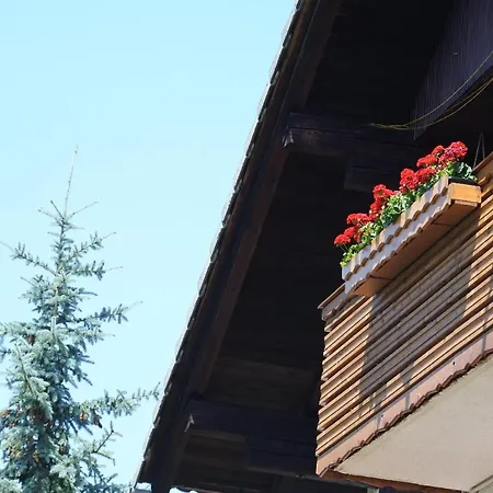 Apartma Vrh Apartman *