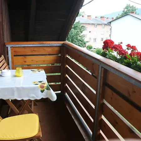 Apartma Vrh *