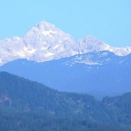 Apartman Apartma Vrh *