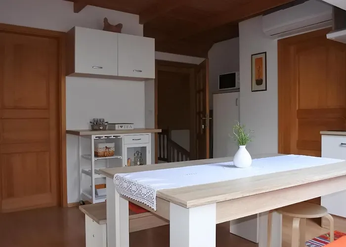 Apartma Vrh 公寓 勒什