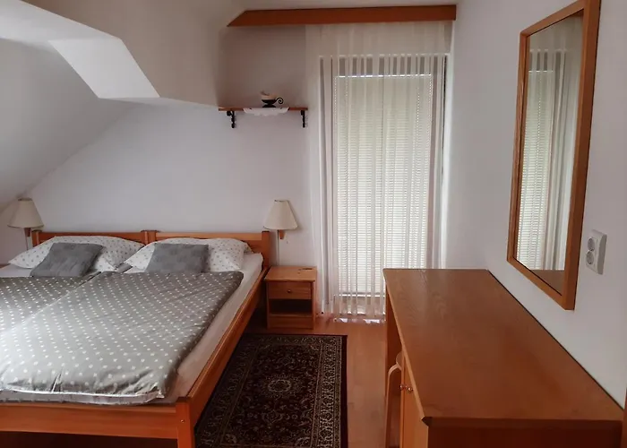 Apartma Vrh 公寓 *