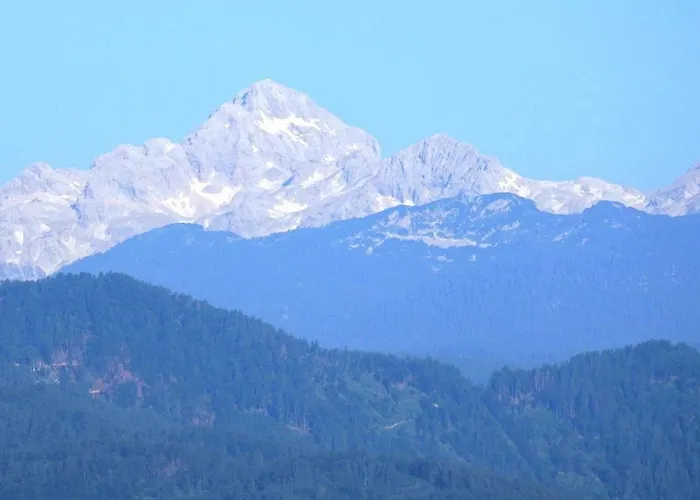 公寓 Apartma Vrh *